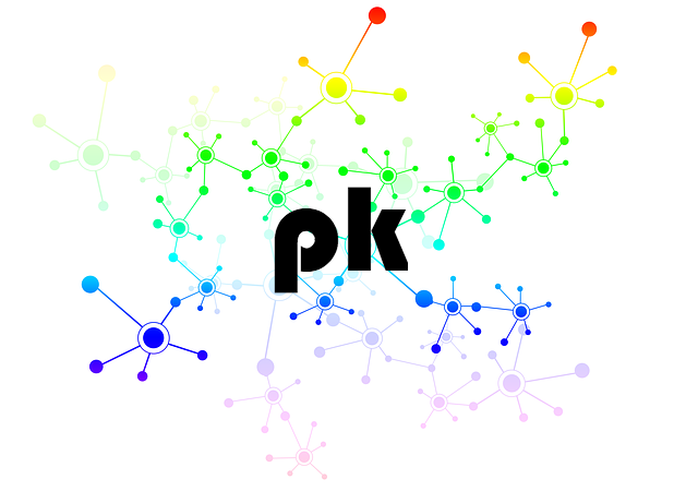 Patti Kibenge logo